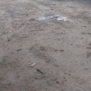 Meet your Posher, Pedro